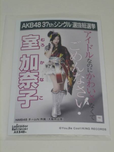 未開封　AKB48 ラブラドールレトリバー 劇場盤 生写真　室加奈子_画像1