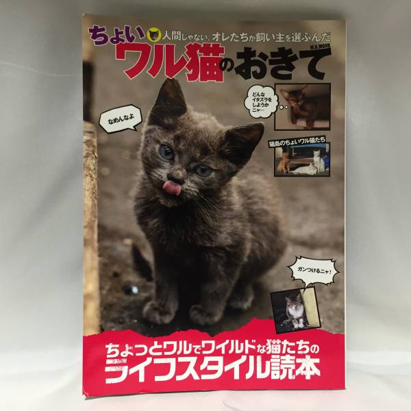  somewhat waru cat. ... cat photo book 