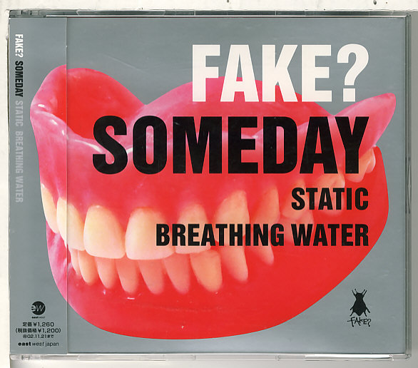  поддельный *FAKE?*SOMEDAY*(INORAN)