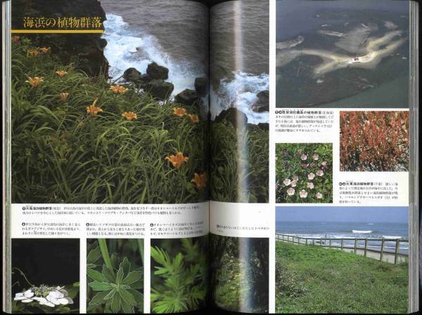 【b5434】昭和63 日本の天然記念物 植物[Ⅰ]：三共自...(非売品)_画像3