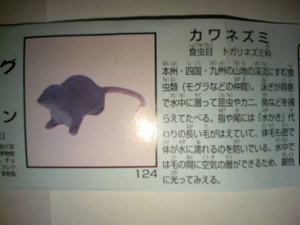 人気海外一番 直営限定アウトレット 日本の動物コレクション 第５弾 カワネズミ