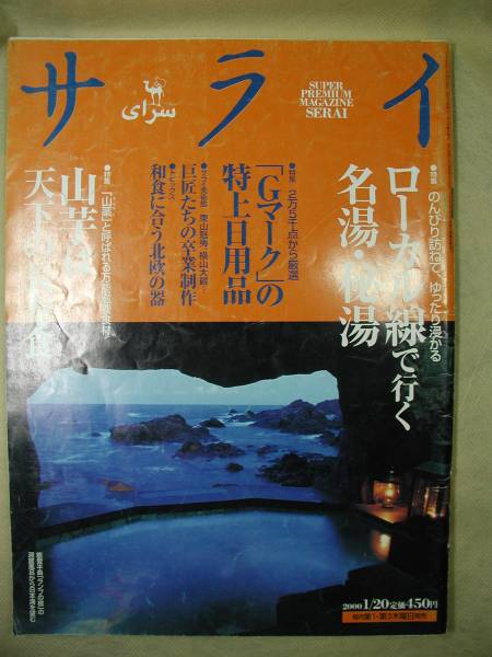 サライ’00・1　のんびり訪ねてゆったり浸かるローカル線で行く_画像1