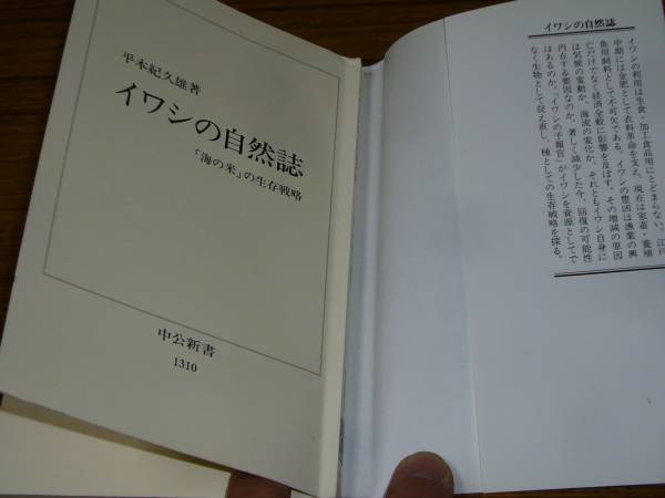 ●平本紀久雄 「イワシの自然誌　『海の米』の生存戦略」 (中公新書)_本体表紙に折返し痕あり。