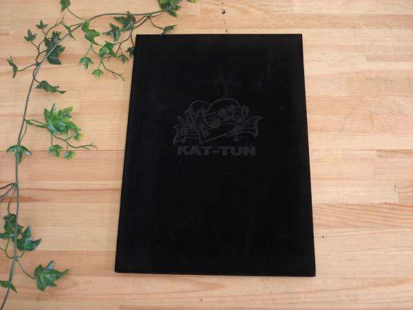 Перевод*Kat-Tun Katoon*06 Realface Real Face Concert Tour Pamplet Photobook не для продажи