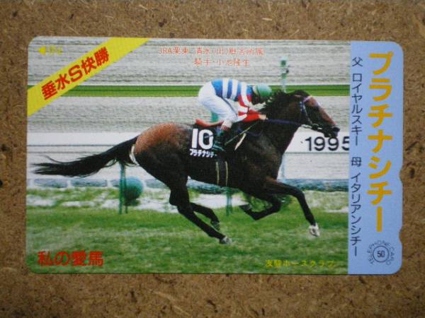 I1639・プラチナシチー　競馬 テレカ_画像1