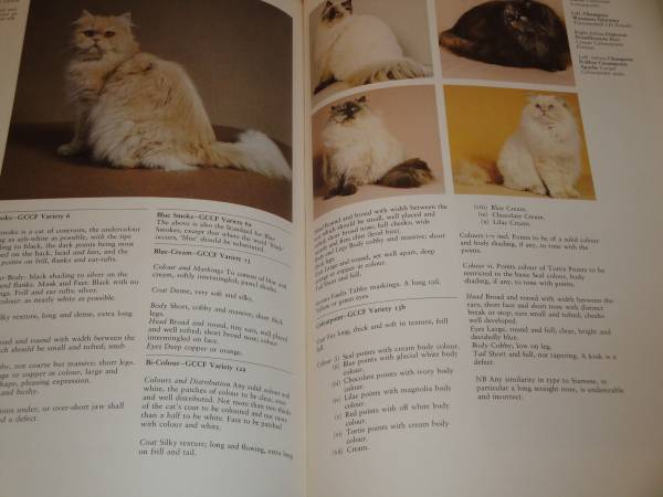  иностранная книга / кошка специализация документ ENCYCLOPEDIA OF THE CATS кошка. .. бобы знания уход 