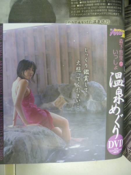 Yahoo!オークション - ヤングアニマル嵐 2008/No.8 森下悠里/谷