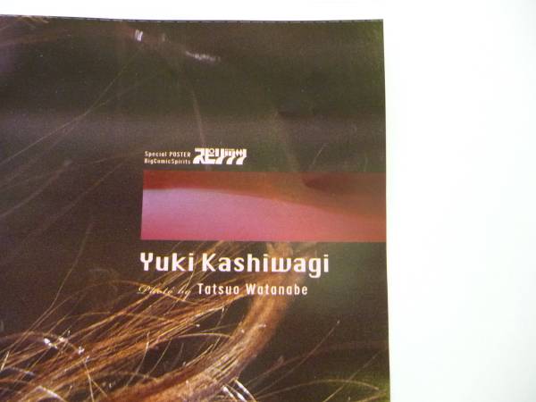AKB48 постер Kashiwagi Yuki (2)