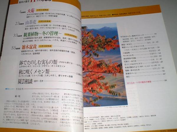 NHK趣味の園芸　昭和53年11月　_画像2