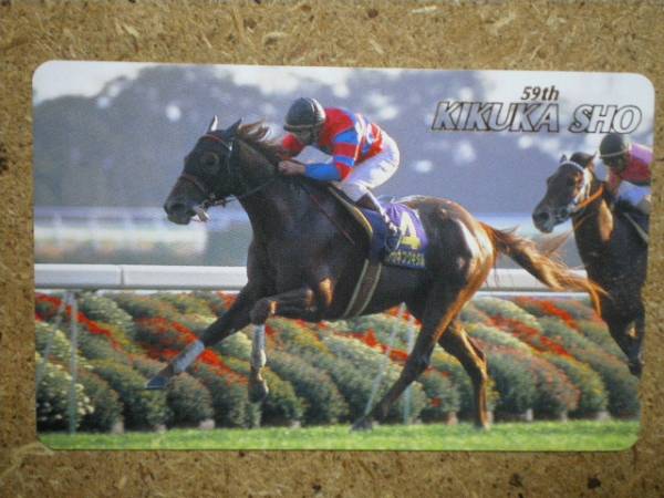 I1774・マチカネフクキタル　競馬　テレカ_画像1