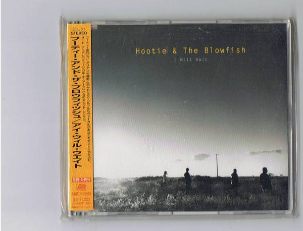 Hootie & The Blowfish- I Will Wait _画像1