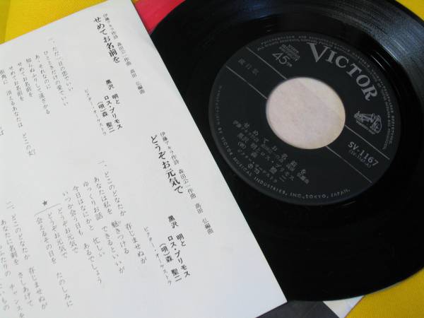 .EP. Roth *pli Moss.... имя .. хороший товар 