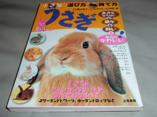 u.. выбор person .. person * маленький american кролик . салон ... все * тутовик гора ..* Ishikawa ..*. способ книжный магазин * распроданный 