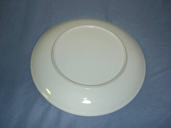 『別注品』前菜・大盛り餃子皿・白いパーティー丸プレート皿　2枚セット　_画像2