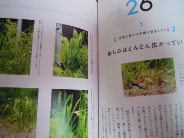 * хобби. учебник тропическая рыба . впервые .книга@* все цвет * водоросли 