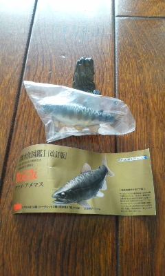 Yahoo!オークション - 原色淡水魚図鑑Ⅰ 改訂版 限定版 ヤマメ