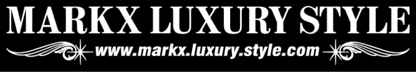 LUXURY STYLE　マークX ５０センチ_画像1