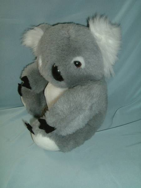 [ pretty koala Chan BIG!!]