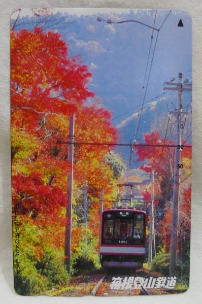 【テレカ】箱根登山鉄道 1000形電車 紅葉 50度▽NO-J897_画像1