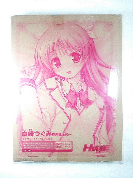 ☆新品レア 電撃姫 白崎つぐみ 抱き枕カバー☆