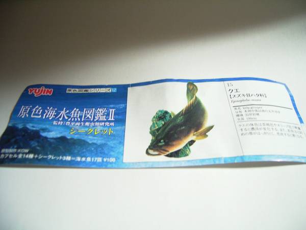 原色海水魚図鑑 Ⅱ シークレット　クエ 　動物　生物　フィギュア_画像3