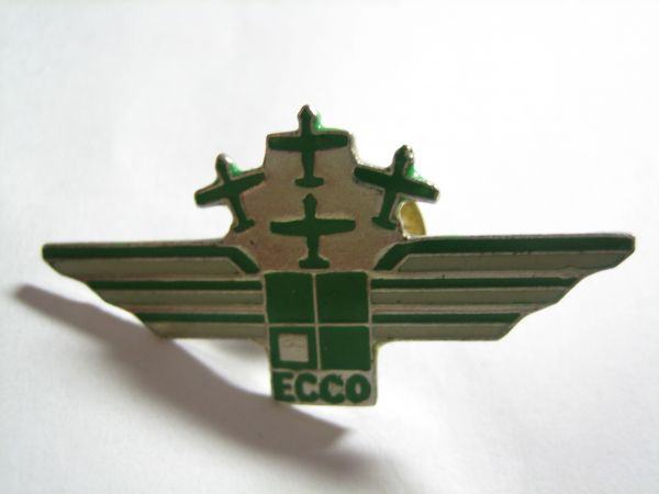 空軍　ロゴ　バッジ　飛行機　戦闘機　翼　エアフォース_画像1