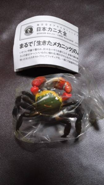 カプセルＱ 日本カニ大全 アカテガニ【通常色】