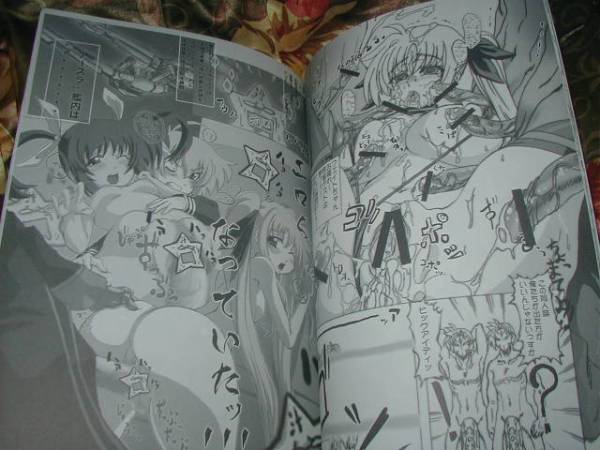 r背?骨『月刊ふぇいと。GX』魔法少女リリカルなのは　羞恥水著