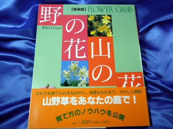 新古本【野の花山の花】フラワーオアシス 野生ランやキク…小学館■送料160円_画像1