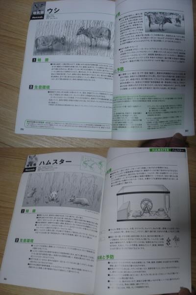 2007 год # иллюстрации . смотреть животное. здоровье управление 50 вид /.. образование . Gakken . место 