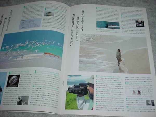 即決！1989年5月　ビクタービデオムービー?。牵?Ｓ95のカタログ
