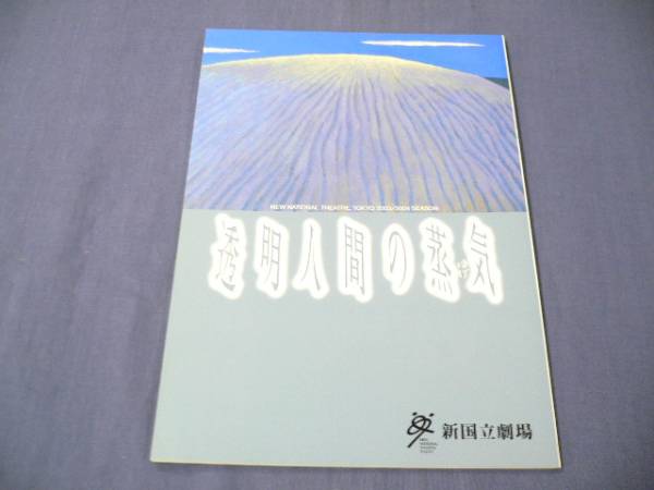 ◆即決/舞台パンフ「透明人間の蒸気」宮沢りえ、阿部サダヲ、手塚とおる、高橋由美子 、大沢健、秋山菜津子/野田秀樹　２００４年_画像1