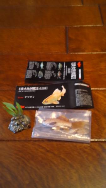 原色淡水魚図鑑Ⅱ 改訂版 テツギョ(シークレット)