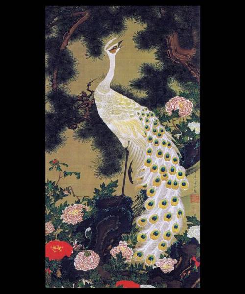 伊藤若沖『 動(dòng)植綵絵 』の內(nèi)『 老松孔雀図 』のマウスパッド（フォトパッド）