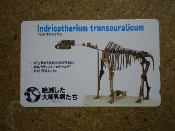 i5468* large mammalian India Rico telium telephone card 