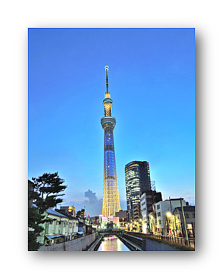 オリジナル フォト ポストカード 2014/6/26 東京スカイツリー_4_はがき印刷面 ※ これは データ画像 です。