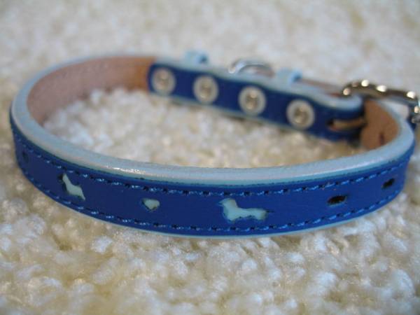 ★同梱お得★?12Mー№18?NEW★かわいい首輪?ブルー?