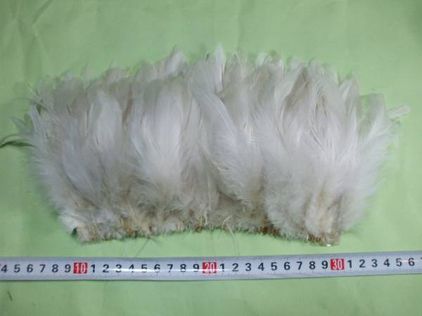 手蕓 羽根 100本以上 買い得!!! コックフェザー W. Lサイズ 造花