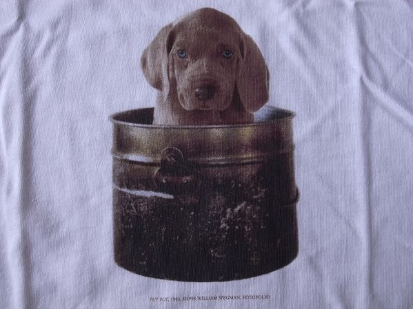 90's William Wegman Weimaraner PUP POT フォト Tシャツ M ウィリアム ウェッグマン FOTOFOLIOワイマナラー犬 子犬ART芸術 美術館 写真/