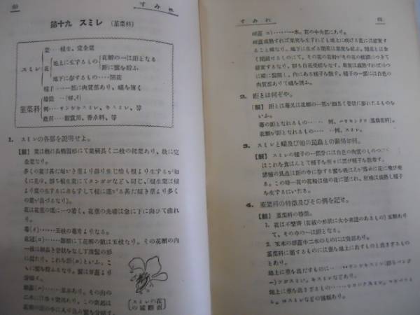 ●植物学問題精解講義●受験参考●中等教育研究所光世館書店S8●_画像3