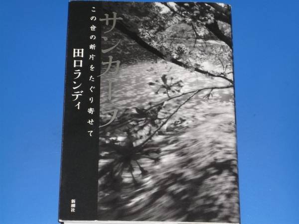 サンカーラ この世の断片をたぐり寄せて★田口 ランディ★新潮社★_画像1