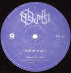 SABRES OF PARADISE　REMIX収録！　Orb / Oxbow Lakes 12_画像3