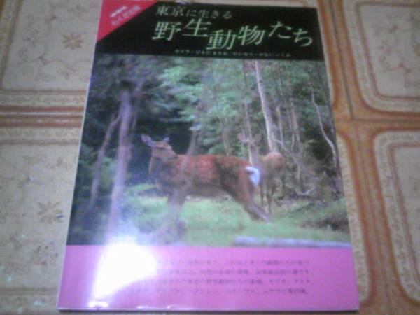 Tokyo . сырой ... сырой животное .. камера /......