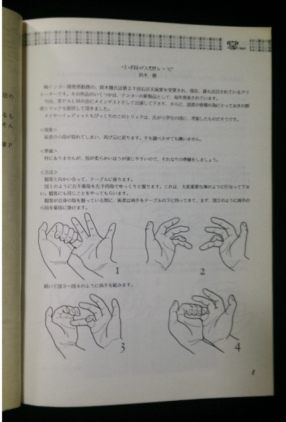 PALM.Vol. 15 by PALM реальный line комитет 1995 год 8 месяц выпуск 