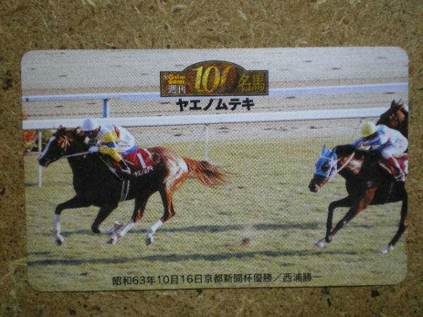 I1988・Gallop100名馬　ヤエノムテキ　競馬　テレカ_画像1