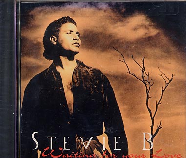 未開封★スティービー B STEVIE B☆Waiting for Your Love_画像1