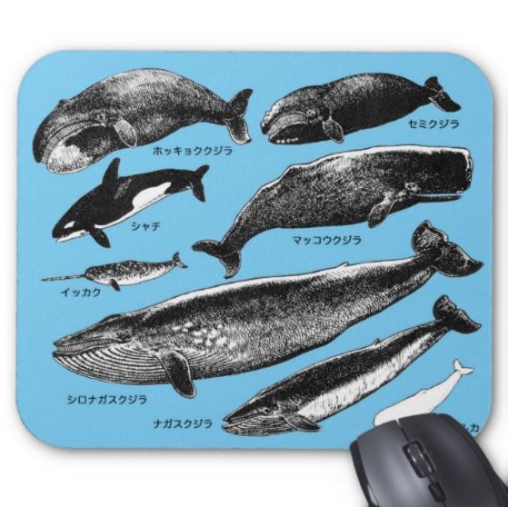 クジラ目のマウスパッド（ブルー地）（フォトパッド）