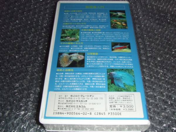 熱帯魚入門 【熱帯魚の世界】 サスカッチビデオ定価3500円_画像2