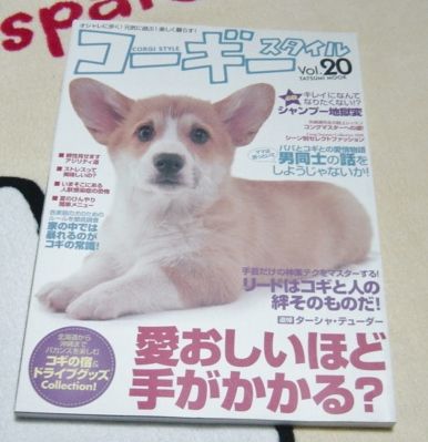  Corgi стиль vol20 H20.9