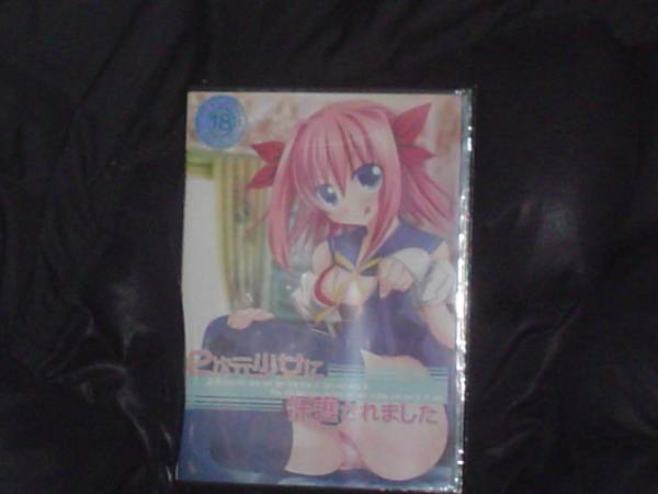 HEAT SOFT「２次元少女に保護されました」新品未開封品